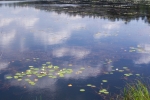 Pond in Ceska Lipa region, photo Martin Waldhauser