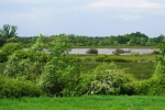 Marshes of Slovak southeast