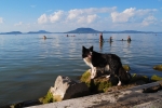 At lake Balaton