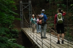 Bridge on forest trail
