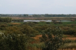 Tisza river floodplain