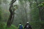 Trail in Pilis hills