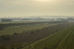 Morning in Roztocze region