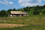 Flowery meadows are a common feature in the Carpathians